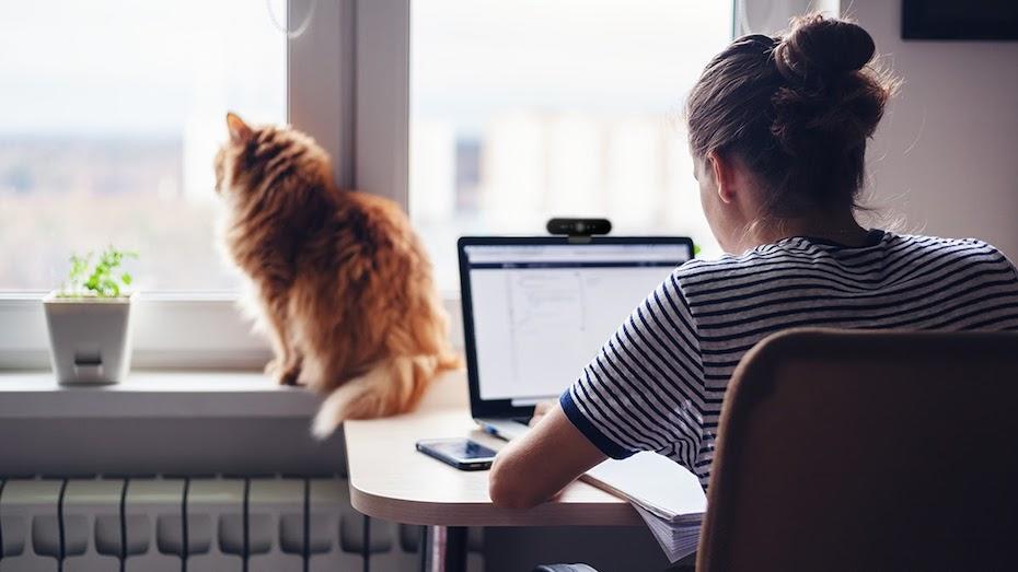 Woman working on laptop computer with webcam